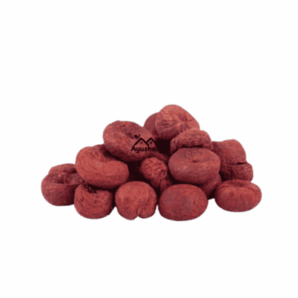 Premium Export Grade Raw Assam Chikni Betel Nut Whole Areca Catechu Pack by Ayushalya Store