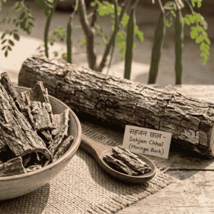 Premium Export Grade Raw Moringa Bark Whole Moringa Oleifera Pack by Ayushalya Store