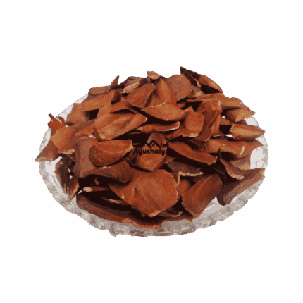 Premium Export Grade Raw Sky Fruit Seeds Swietenia Macrophylla Whole Sugar Badam Pack by Ayushalya Store