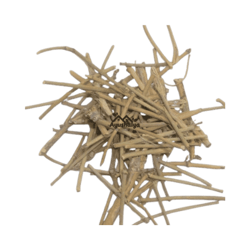 wholesale-ephedra-gerardiana-moon-plant-somlata-ayushalya Premium Export Grade Wholesale Ephedra gerardiana Moon Plant Raw Somlata Stems Pack by Ayushalya Store