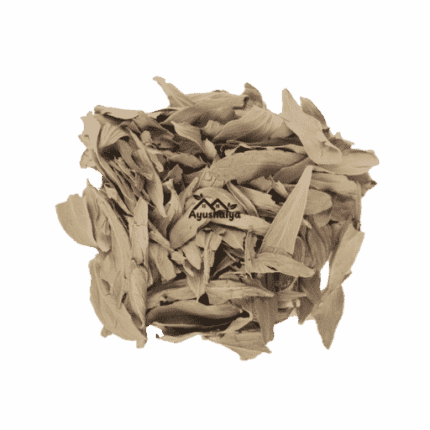 Premium Export Grade Raw Indian Senna Whole Dried Cassia Angustifolia Leaves Pack by Ayushalya Store