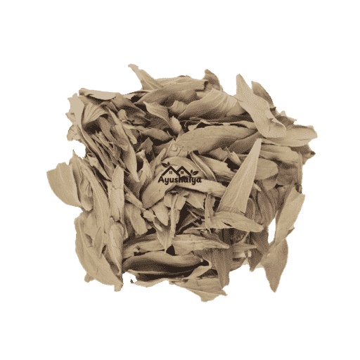 Premium Export Grade Raw Indian Senna Whole Dried Cassia Angustifolia Leaves Pack by Ayushalya Store