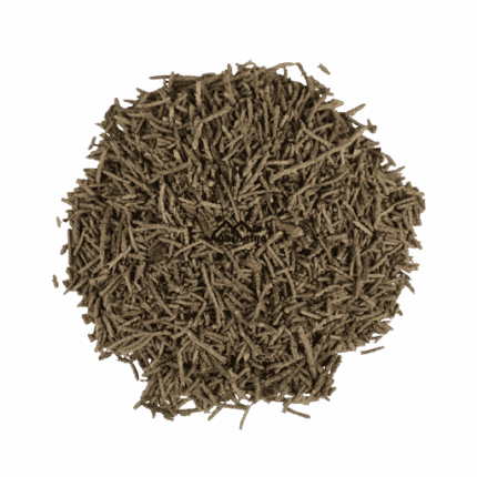 Premium Export Grade Raw Saru Ghas Whole Dried Casuarina Equisetifolia Whistling Pine Pack by Ayushalya Store
