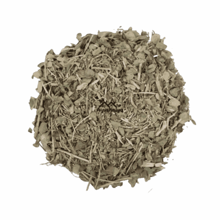 wholesale-export-quality-raw-shahtar-patti-fumaria-parviflora-leaves