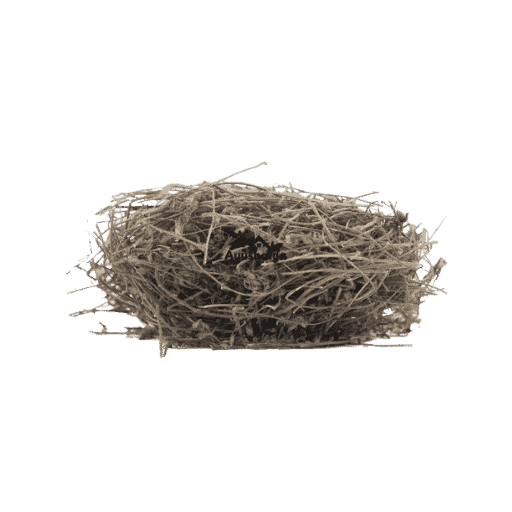 wholesale-export-quality-raw-shankhapushpi-convolvulus-pluricaulis wholesale-export-quality-raw-shankhapushpi-convolvulus-pluricaulis