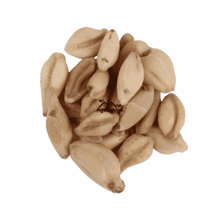 Premium Export Grade Raw Suranjan Kadwi Whole Bitter Colchicum Luteum Corms Pack by Ayushalya Store